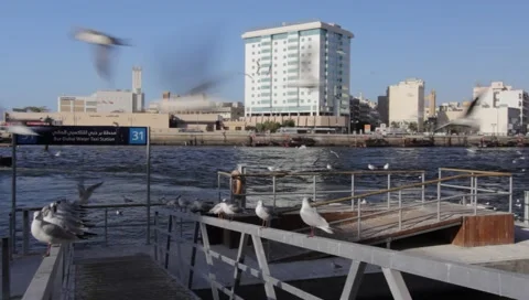 Dubai Creek Stock Footage 1117998