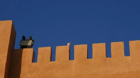 Dubai Desert Stock Photos