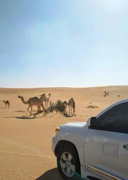 Dubai Desert Stock Photos
