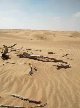 Dubai Desert Foto stock