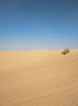 Dubai Desert Stock Photos