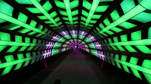 Dubai Garden Glow Stock Footage 112172522