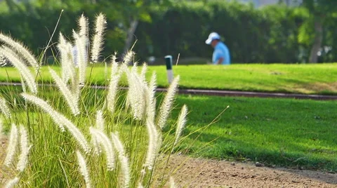 Dubai Golf resort Stock Footage 46918213