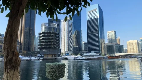 Dubai Marina Stock Footage 113102004