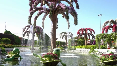 Dubai Miracle Garden Stock Footage 100716691