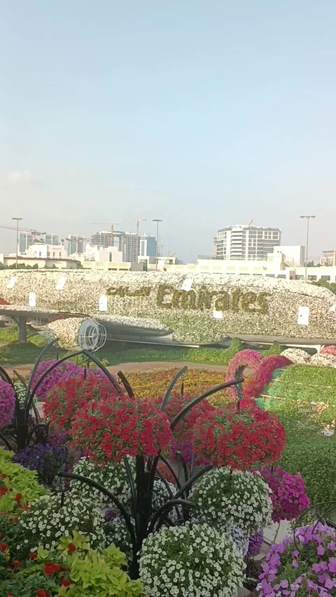 Dubai Miracle Garden Stock Footage 291387101
