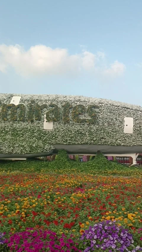 Dubai Miracle Garden Stock Footage 291387118