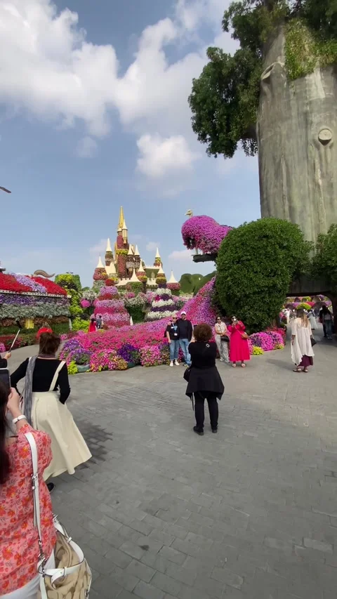 Dubai Miracle Garden is one of the most expensive luxurious parks in World 스톡 동영상 304311253
