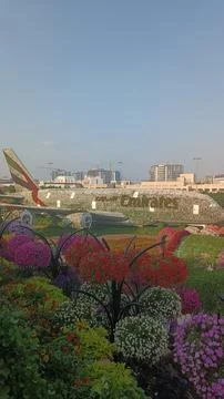 Dubai Miracle Garden Stock Photos