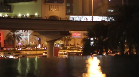 Dubai Sheikh Zayed Stock Footage 44457826