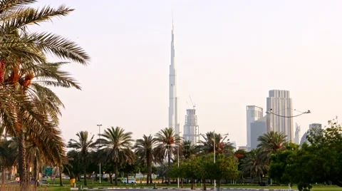 Dubai Skyline 動画素材 51591906