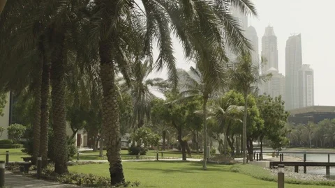 Dubai Street Video stock 116249612