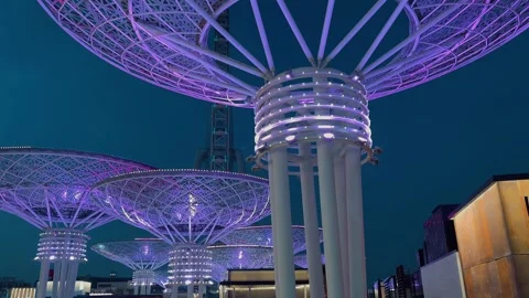 Dubai Super Trees at Night 4 Video stock 328841946