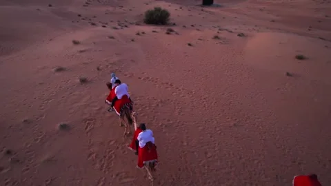 Dubai, UAE - 1 14 2023: A drone flying over tourists riding a camel on the sands Stock Footage 255287207