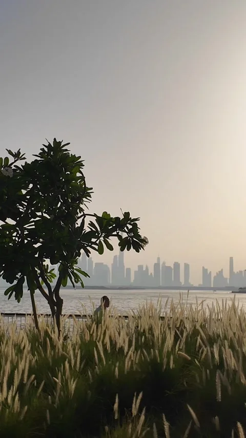 Dubai, UAE - 24 June 2026: Sunset and evening atmosphere at Dubai Creek wat.. Stock Footage 337548059
