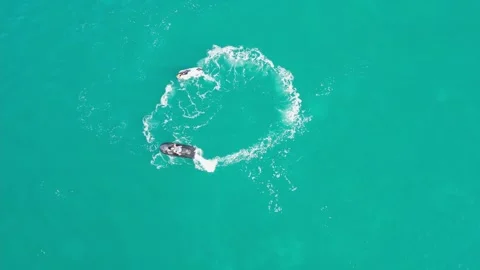 Dubai, UAE - 3 20 2023: A drone flies over people riding jet skis on the sea Stock Footage 253973563