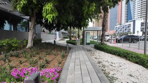 DUBAI, UAE - APRIL 15, 2026: A paved walkway lined with pink petunia flower.. Stock Footage 332791993