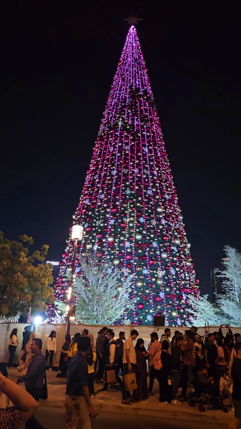 Dubai, UAE December 03 2024 Christmas Tree at Al Seef. Stock Footage 299909337