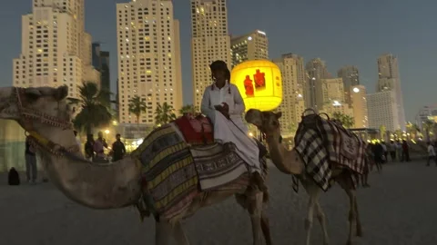 Dubai UAE July 7 2026 JBR beach sunset and camel ride at Dubai Marina Stock Footage 338388604