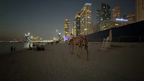 Dubai UAE July 7 2026 JBR beach sunset and camel ride at Dubai Marina Stock Footage 338388615