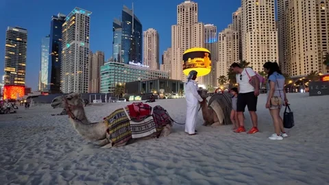 Dubai, UAE - June 02, 2026: Tourists and locals enjoying a sunset walk at J.. Stock Footage 336176541
