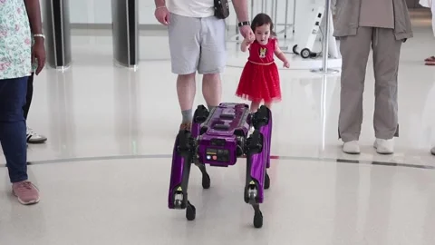 Dubai, UAE - October 1, 2024 A robot dog in Museum of the Future entertains t Video stock 296966838