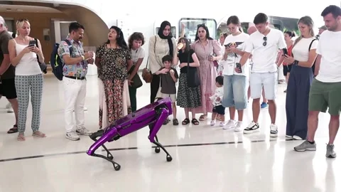 Dubai, UAE - October 1, 2024 A robot dog in the Museum of the Future entertai Video stock 296966846