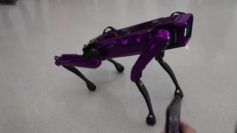 Dubai, UAE - October 1, 2024  robot dog in the Museum of the Future entertain Video stock 296966852