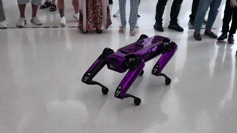 Dubai, UAE - October 1, 2024 A robot dog in the Museum Future entertains tour Video stock 300086561