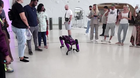 Dubai, UAE - October 1, 2024 A robot dog the Museum of the Future entertains Video stock 300086564