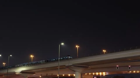 Dubai, UAE - October 29, 2025: Modern subway train arriving at an elevated .. Stock Footage 333514147