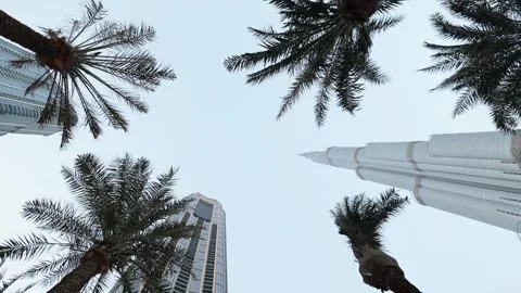 Dubai, UAE - October 31, 2025: Skyscrapers reaching for a clear sky, an upw.. Stock Footage 333513924