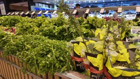 Dubai, UAE - September 30, 2026 - Interior view of fresh vegetables and fru.. Stock Footage 346779433