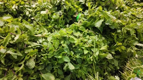 Dubai, UAE - September 30, 2026 - Interior view of fresh vegetables and fru.. Stock Footage 346781067