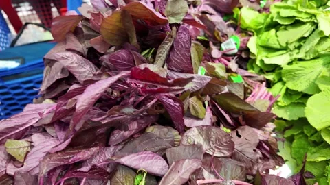Dubai, UAE - September 30, 2026 - Interior view of fresh vegetables and fru.. 動画素材 346781088