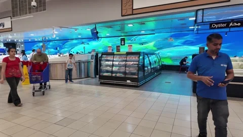 Dubai, UAE - September 30, 2026 - Interior view of fresh seafood, fish, and.. Stock Footage 346782611