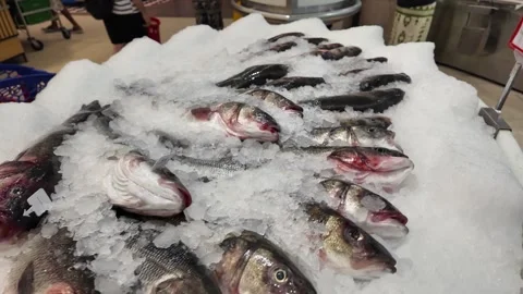 Dubai, UAE - September 30, 2026 - Interior view of fresh seafood, fish, and.. Stock Footage 346782681