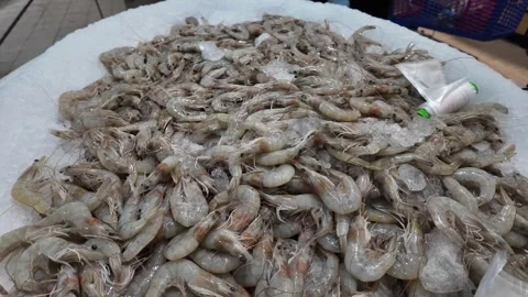 Dubai, UAE - September 30, 2026 - Interior view of fresh seafood, fish, and.. Stockbeeldmateriaal 346782781