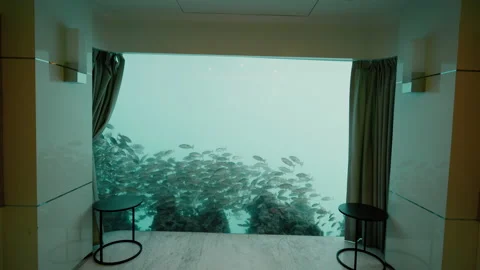Dubai Underwater Villa Stock Footage 236038986