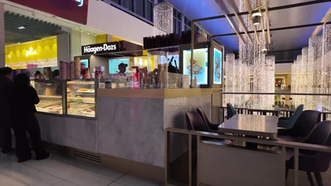 Dubai, United Arab Emirates - May 22, 2026: Dubai Mall Interior Scene Stock Footage 335482276