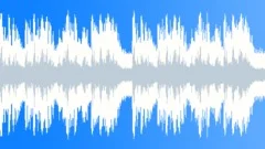 Dubflutter loop 6Stock Music