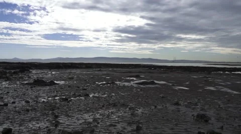 Dublin Beach 스톡 동영상 49274762