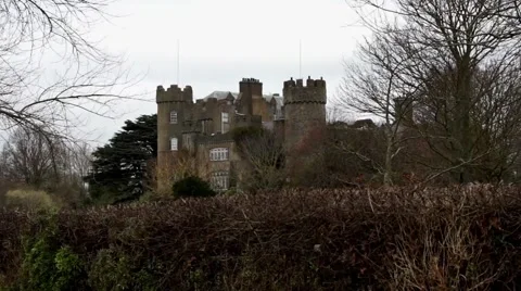 Dublin Castle in Winter 스톡 동영상 46685260