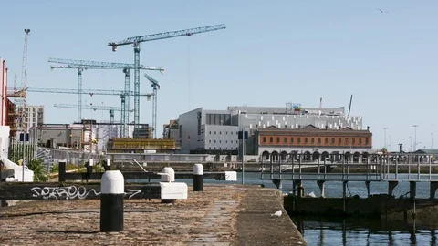 DUBLIN CRANES 動画素材 95455463