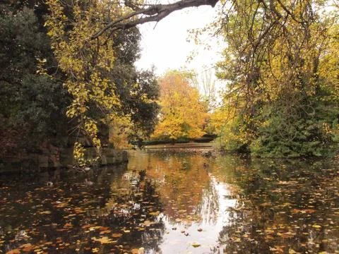 Dublin, pond in park Foto stock