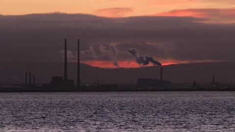 Dublin Poolbeg at sunset with birds in flight Stock Footage 260843833