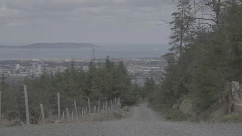 Dublin from Ticknock Stock Footage 309109558