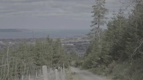 Dublin from Ticknock Stock Footage 309118633