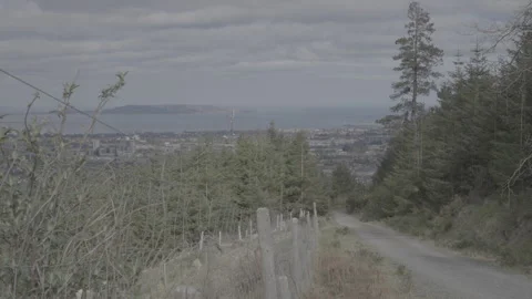 Dublin from Ticknock Stock Footage 309120478
