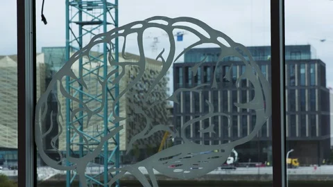 DUBLIN WINDOW 스톡 동영상 95462998